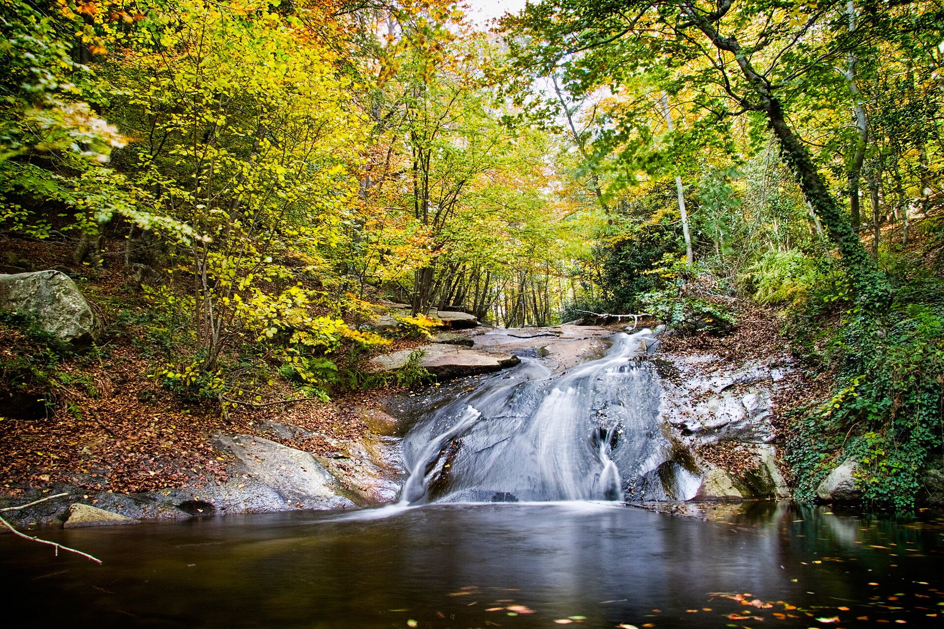 Paisatge real del Parc Natural del Montseny